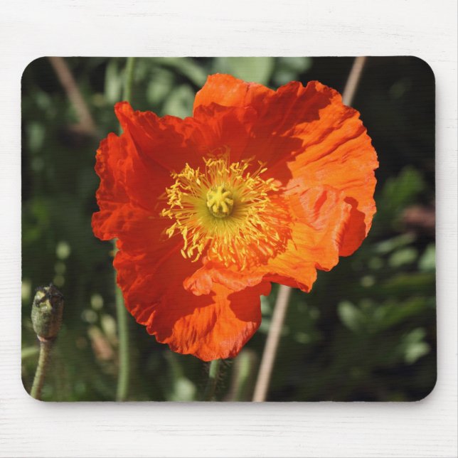 Mousepad Welsh Poppy (Laranja) (Frente)