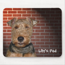 Mousepad Welsh Terrier em Brick Wall