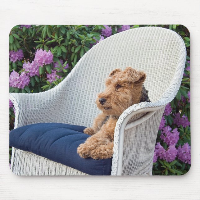 Mousepad Welsh terrier em wicker (Frente)