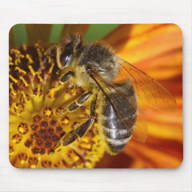 Mousepad Western Honey Bee Macro (Frente)