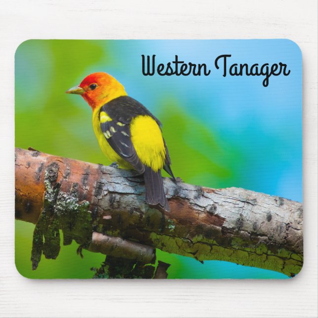 Mousepad Western Tanager (Frente)
