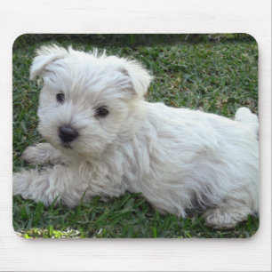 Mousepad Westie
