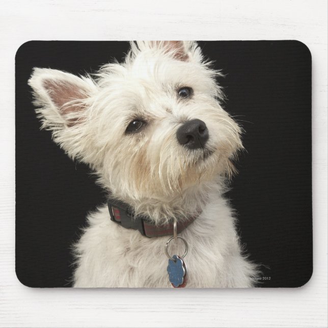 Mousepad Westie (West Highland terrier) com coleira (Frente)