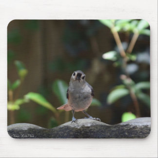 Mousepad Whatcha Doin