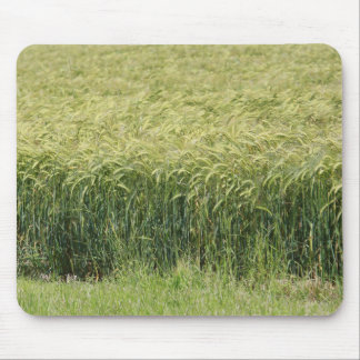 Mousepad Wheat - Tasty!