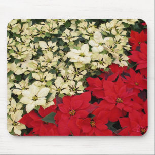 Mousepad White e Red Poinsettias I Feriado Floral