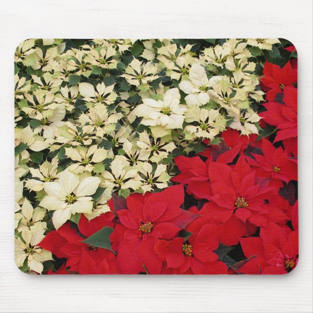 Mousepad White e Red Poinsettias I Feriado Floral (Frente)