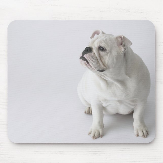 Mousepad White English Buldogue (Frente)