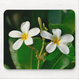 Mousepad White Frangipani