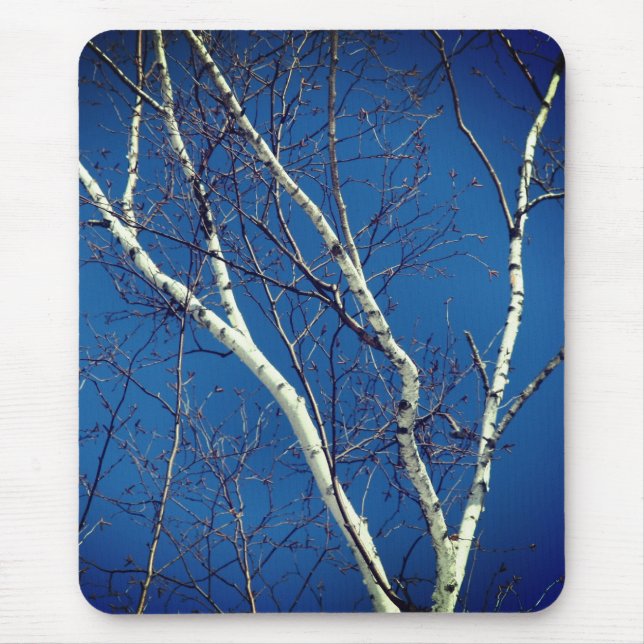 Mousepad White Paper Birch Tree Blue Sky Nature (Frente)