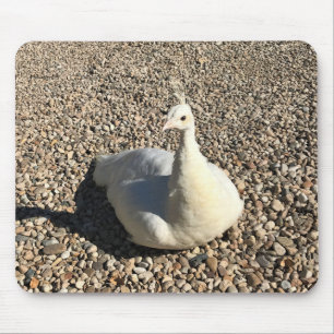 Mousepad White Peacock, Idaho