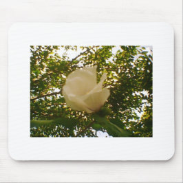 Mousepad White Rose Budding Bloom