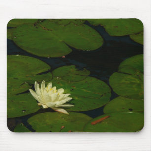 Mousepad White Waterlily I Peaceful Floral Fotografia