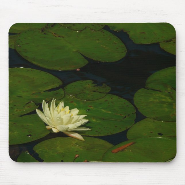 Mousepad White Waterlily I Peaceful Floral Fotografia (Frente)