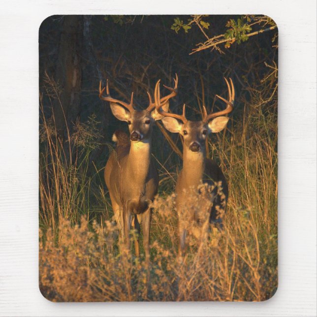 Mousepad Whitetails de Texas (Frente)