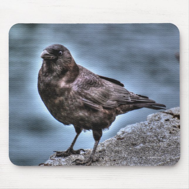 Mousepad Wild Black Raven em Rocks (Frente)