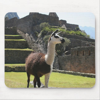 Mousepad Wild Llama perto de Ruins