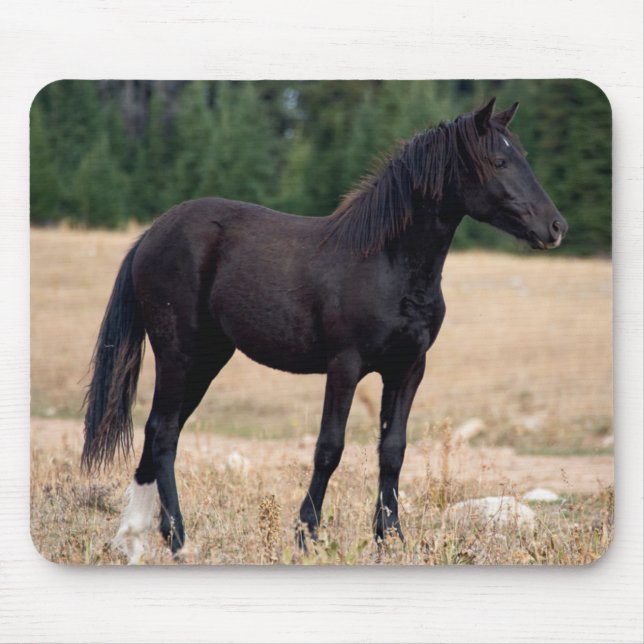 Mousepad Wild Mustang (Frente)