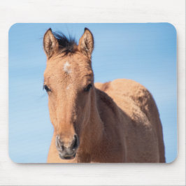 Mousepad Wild Mustang Foal