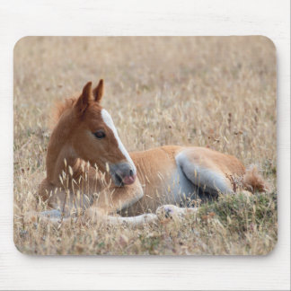 Mousepad Wild Mustang Foal