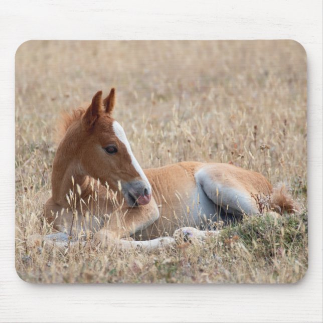 Mousepad Wild Mustang Foal (Frente)