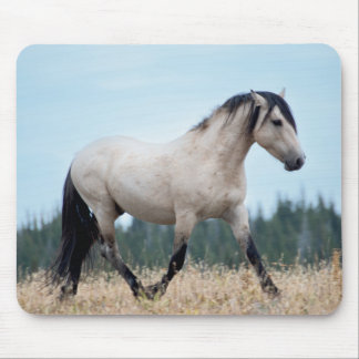 Mousepad Wild Mustang Stallion
