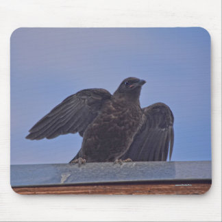 Mousepad Wild Raven e Roof Wildlife Photo Gift