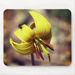 Mousepad Wild Trout Lily E Friend Flower