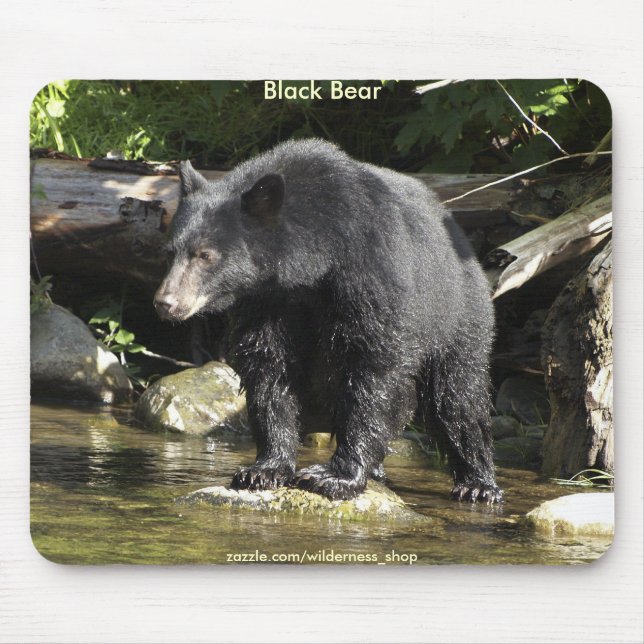 Mousepad WILD WARRIORS Black Bear Coleção de Fotografias (Frente)