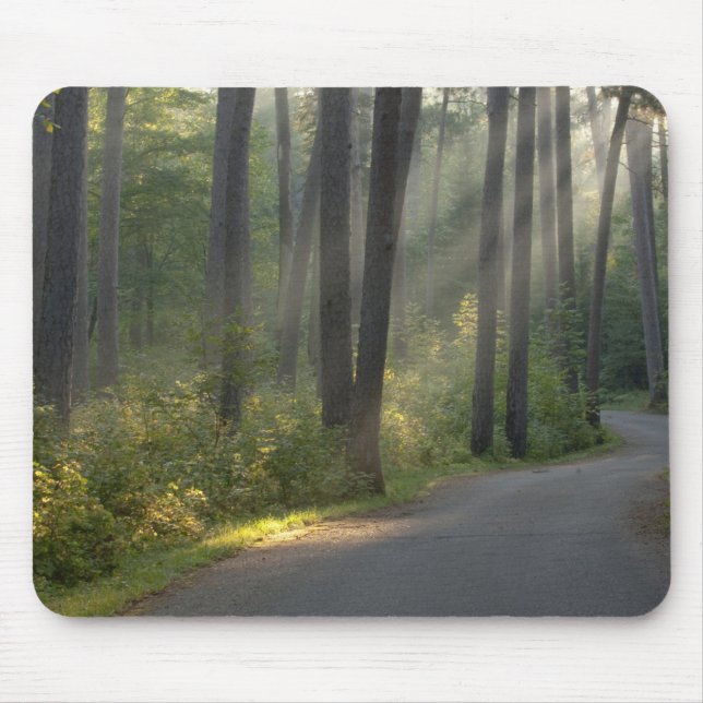 Mousepad Wilderness Drive, Parque Estadual de Itasca, (Frente)