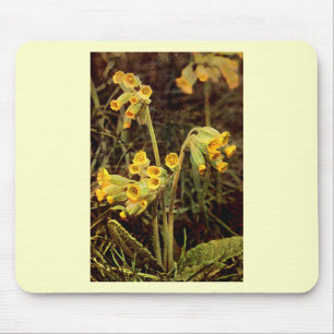 Mousepad Wildflower: Cowslip