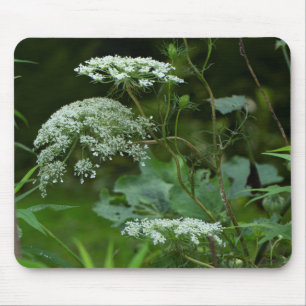 Mousepad Wildflower do ce do La da rainha Anne - carota do