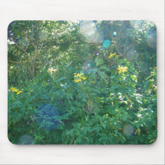 Mousepad Wildflowers havaianos amarelos de Kauai Havaí