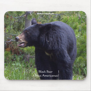 Mousepad Wildlife Bears Design