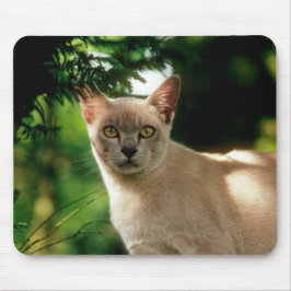 Mousepad Wilham.