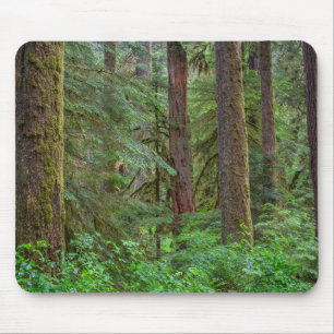 Mousepad Willamette National Forest Oregon