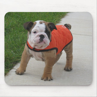 Mousepad William o filhote de cachorro inglês do buldogue