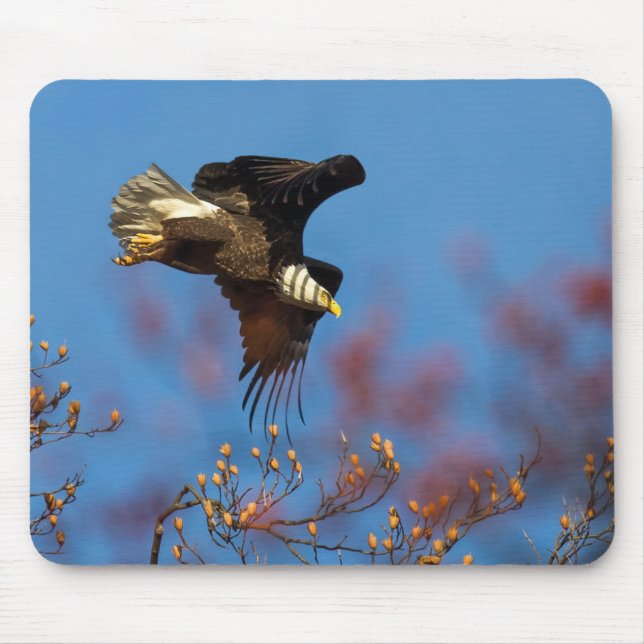 Mousepad Wingshadow (Frente)