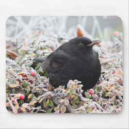Mousepad Winter Blackbird