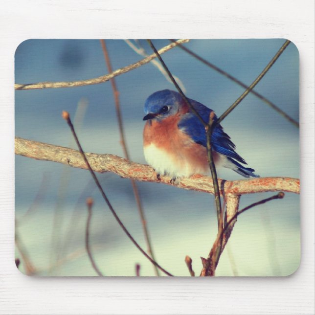 Mousepad Winter Bluebird Wildlife Nature (Frente)