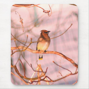 Mousepad Winter Cedar Waxwing Wildlife Nature
