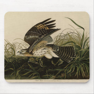 Mousepad Winter Hawk, Pássaros da América de John James Aud