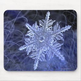 Mousepad Winterborn (2015)