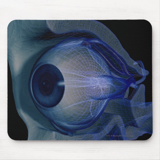 Mousepad wireframe 3d dos músculos de olho em um soquete (Frente)