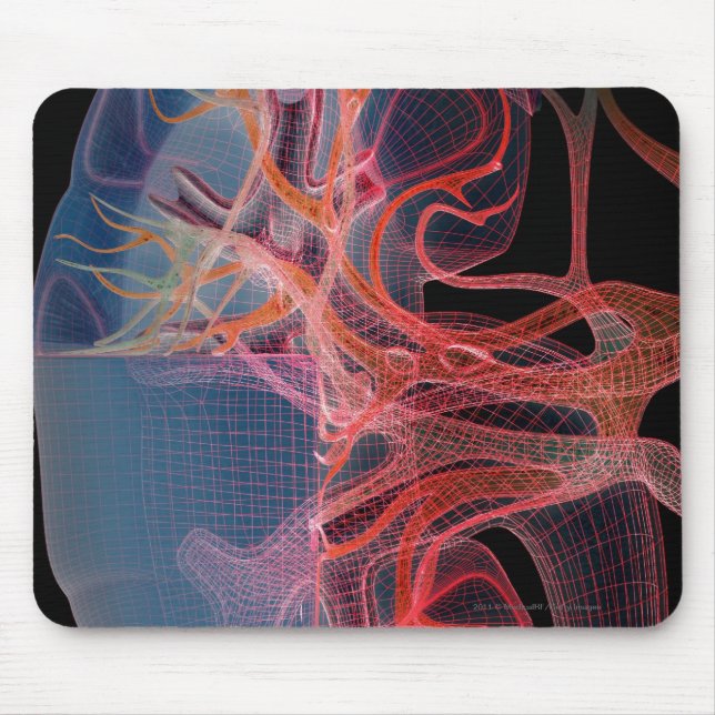 Mousepad Wireframe do interior de um rim (Frente)