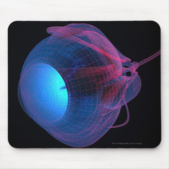 Mousepad Wireframe dos músculos do olho (Frente)
