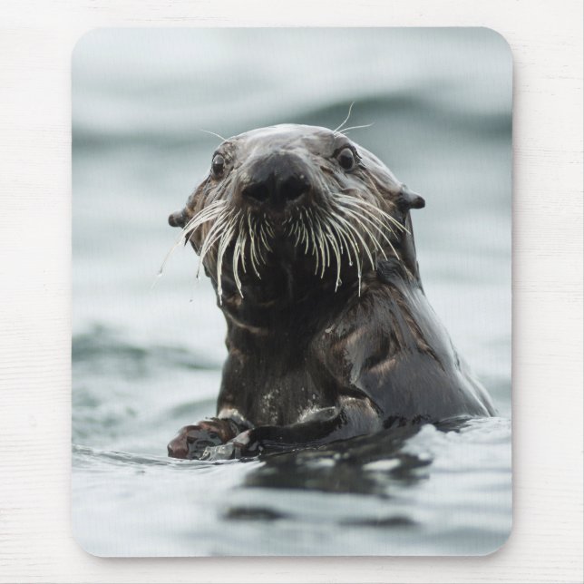 Mousepad Wise Otter (Frente)