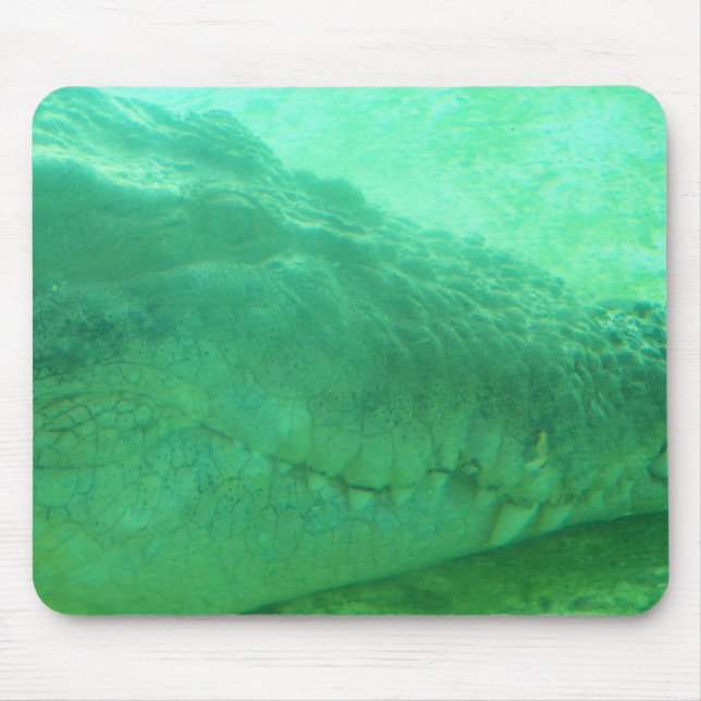mousepad with green gator face (Frente)