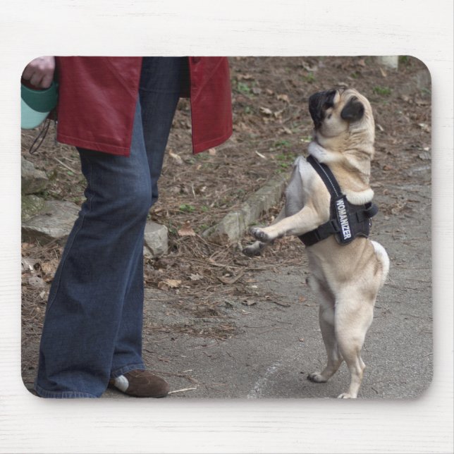 Mousepad Womanizer (Frente)