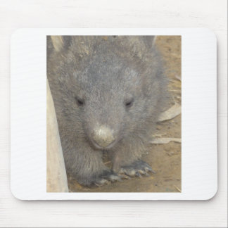 Mousepad Wombat